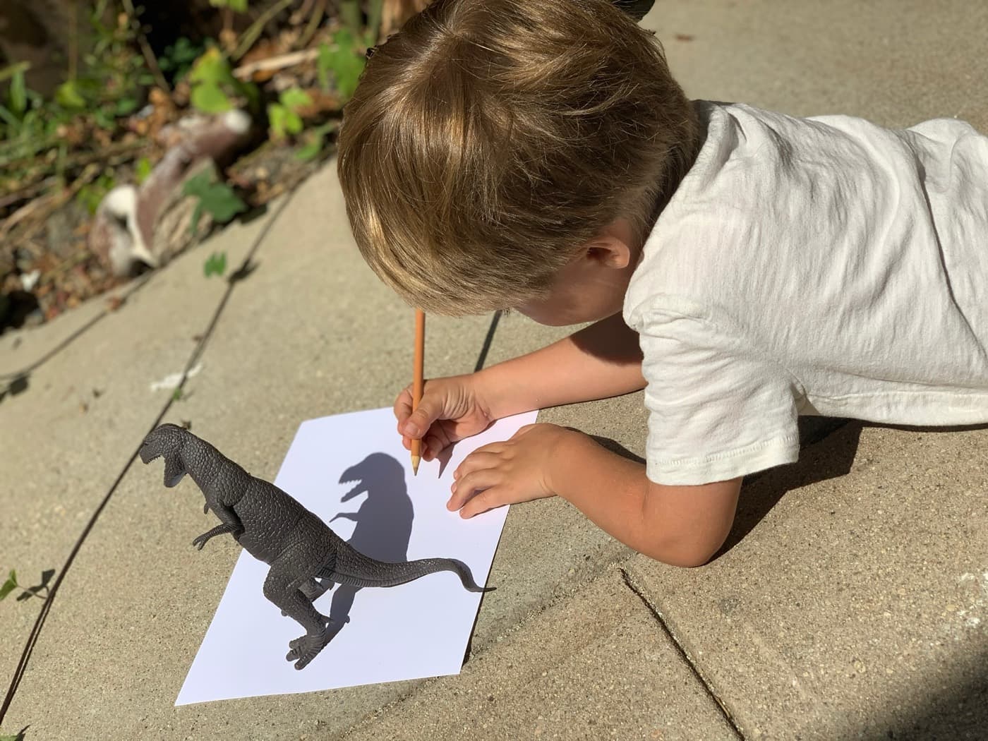 Tracing a toy dinosaur's shadow in the sun