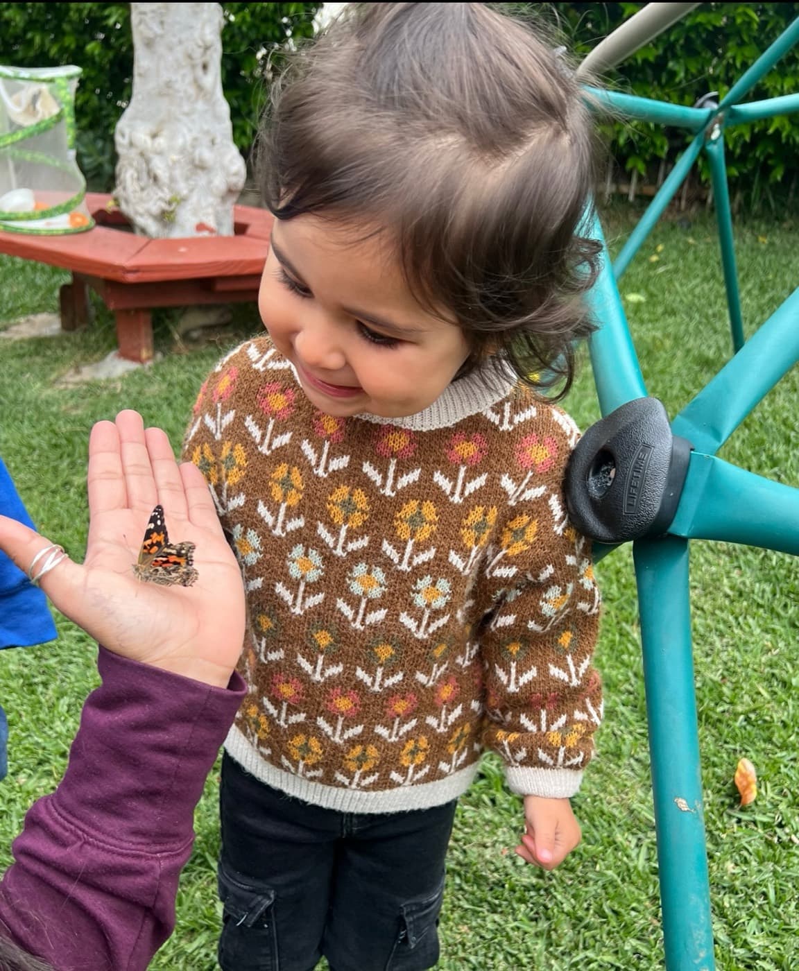 Admiring a painted lady butterfly up close