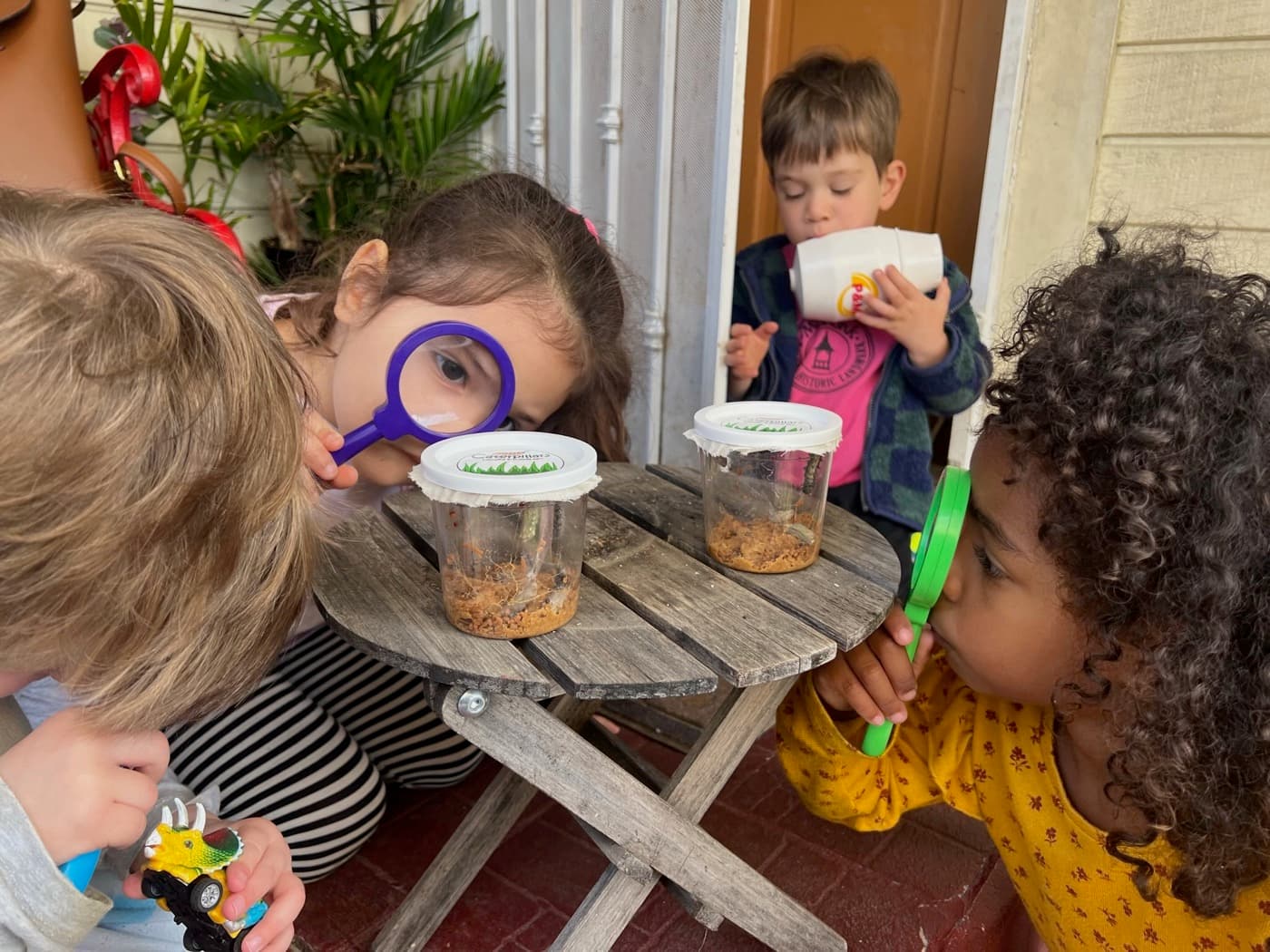 Children peering through magnifiers at caterpillar cups
